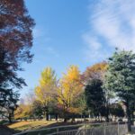 秋は紅葉・春は桜が楽しめます